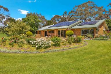 Lifestyle For Sale - VIC - Loch - 3945 - Substantial family home on 2.5 acres  (Image 2)