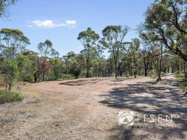 Residential Block For Sale - VIC - Strathfieldsaye - 3551 - Expansive 17.95-Acre Natural Haven in Strathfieldsaye  (Image 2)