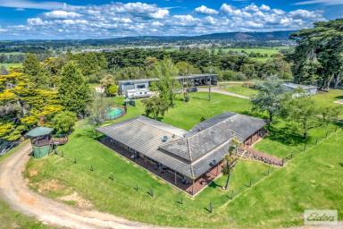 Lifestyle For Sale - VIC - Moe - 3825 - Space, Serenity & Convenience on 150 Acres.  (Image 2)