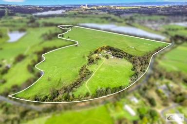 Lifestyle For Sale - VIC - Moe - 3825 - Space, Serenity & Convenience on 150 Acres.  (Image 2)