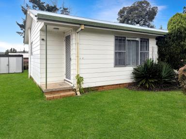 Flat For Lease - NSW - Glen Innes - 2370 - Charming 1-Bedroom Unit with Spacious Yard  (Image 2)