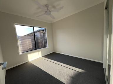 House For Lease - NSW - Casino - 2470 - Brand New Ready To Go  (Image 2)