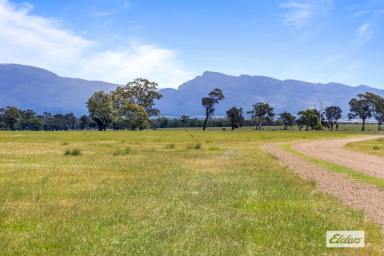 Other (Rural) For Sale - VIC - Rhymney - 3377 - 262 Acre Grazing & Lifestyle Block - Spectacular Grampians Views  (Image 2)