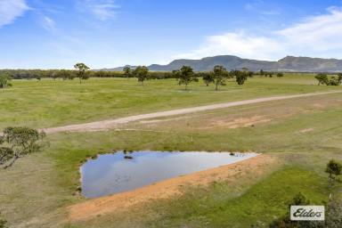 Other (Rural) For Sale - VIC - Rhymney - 3377 - 262 Acre Grazing & Lifestyle Block - Spectacular Grampians Views  (Image 2)