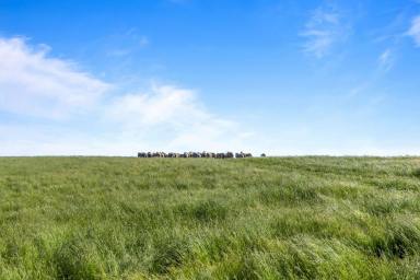 Mixed Farming For Sale - VIC - Bo Peep - 3351 - 'Carngham Heights' Ballarat Fringe Rural Holdings  (Image 2)