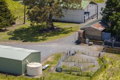 Livestock For Sale - SA - Woodside - 5244 - The very best of both worlds. (Image 2)