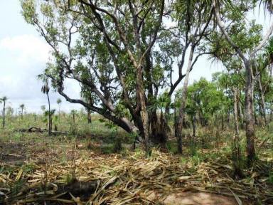 Residential Block Sold - NT - Batchelor - 0845 - Loads of Opportunity in Eva Valley  (Image 2)