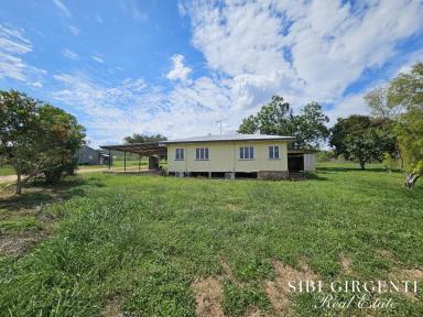 Cropping For Sale - QLD - Dimbulah - 4872 - ESCAPE REALITY ON THE WALSH  (Image 2)