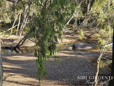 Cropping For Sale - QLD - Dimbulah - 4872 - ESCAPE REALITY ON THE WALSH  (Image 2)