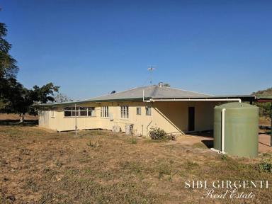Cropping For Sale - QLD - Dimbulah - 4872 - ESCAPE REALITY ON THE WALSH  (Image 2)