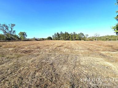 Cropping For Sale - QLD - Dimbulah - 4872 - ESCAPE REALITY ON THE WALSH (Image 2)