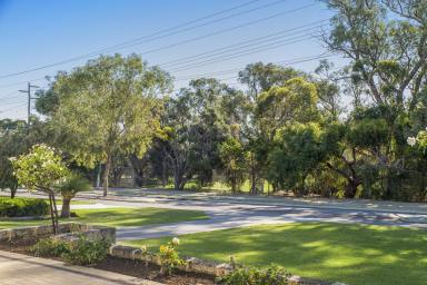House For Sale - WA - Karrinyup - 6018 - Walk to the beach, the school - or buggy to the golf course! (Image 2)