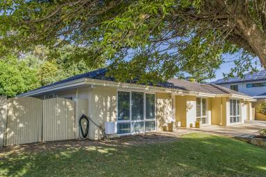 House For Sale - WA - Karrinyup - 6018 - Walk to the beach, the school - or buggy to the golf course!  (Image 2)