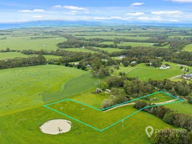 Residential Block For Sale - VIC - Foster - 3960 - RURAL LIVING BLOCK  (Image 2)