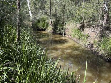 Lifestyle For Sale - NSW - West Bungawalbin - 2471 - RURAL OPPORTUNITY  (Image 2)