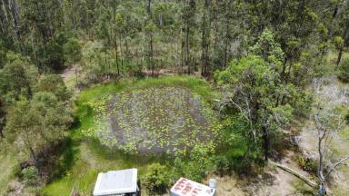 Lifestyle For Sale - NSW - West Bungawalbin - 2471 - RURAL OPPORTUNITY  (Image 2)