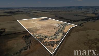 House For Sale - SA - Towitta - 5353 - 1860 Stone Homestead on 82 Hectares: A Timeless Towitta Farming Opportunity  (Image 2)
