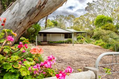 House For Sale - SA - Hynam - 5262 - 4,044m2, 2 Titles, Space, Shedding & Lifestyle  (Image 2)