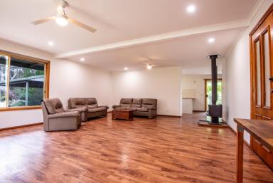 House For Sale - SA - Hynam - 5262 - 4,044m2, 2 Titles, Space, Shedding & Lifestyle  (Image 2)