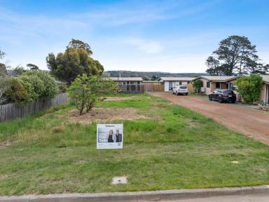Residential Block For Sale - TAS - Swansea - 7190 - Prime Coastal Block - Sun, Convenience & Development Potential  (Image 2)