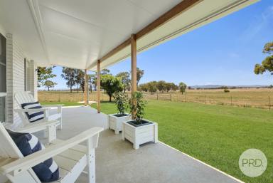 Lifestyle For Sale - NSW - Tamworth - 2340 - Its all been done for you! (Image 2)