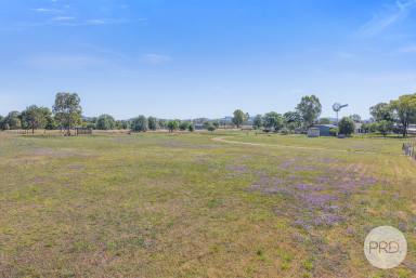 House For Sale - NSW - Tamworth - 2340 - Lovely 4-bedroom home situated on 2.0 ha  (Image 2)