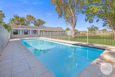 House For Sale - NSW - Tamworth - 2340 - Lovely 4-bedroom home situated on 2.0 ha  (Image 2)