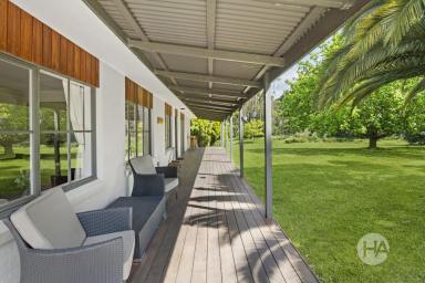 Acreage/Semi-rural For Sale - VIC - Hastings - 3915 - Relaxed Rural Sanctuary (Image 2)