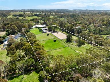 Acreage/Semi-rural For Sale - VIC - Hastings - 3915 - Relaxed Rural Sanctuary  (Image 2)