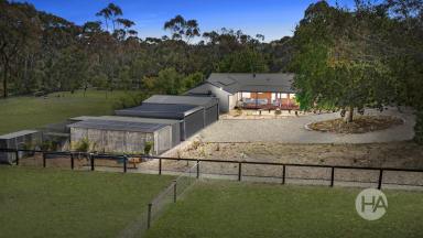 Acreage/Semi-rural For Sale - VIC - Hastings - 3915 - Relaxed Rural Sanctuary (Image 2)