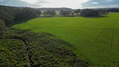 Mixed Farming For Sale - NSW - Dunedoo - 2844 - Improved Pasture Powerhouse with Excellent Water Security  (Image 2)