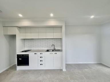 Unit For Lease - NSW - Old Bar - 2430 - Charming 1 Bedroom Granny Flat in Old Bar's Newest Estate!  (Image 2)