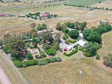 Lifestyle For Sale - NSW - Young - 2594 - "ANGLEVIEW" 27.9/ha* With 2 Dwellings  (Image 2)