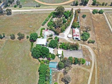 Lifestyle For Sale - NSW - Young - 2594 - "ANGLEVIEW" 27.9/ha* With 2 Dwellings  (Image 2)