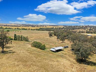 Lifestyle For Sale - NSW - Young - 2594 - "ANGLEVIEW" 27.9/ha* With 2 Dwellings  (Image 2)
