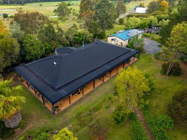 Acreage/Semi-rural For Sale - NSW - Tarraganda - 2550 - RURAL LIVING AT ITS FINEST  (Image 2)
