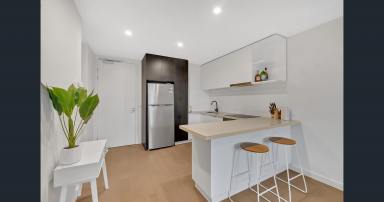 Unit For Lease - VIC - Cheltenham - 3192 - LARGE BALCONY | CONTEMPORARY APARTMENT  (Image 2)