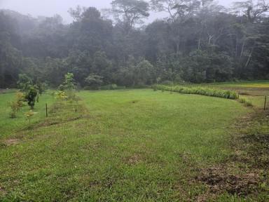 Residential Block For Sale - QLD - Paluma - 4816 - NATURE'S HAVEN IN PALUMA!  (Image 2)