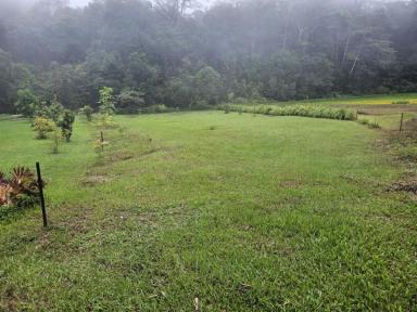 Residential Block For Sale - QLD - Paluma - 4816 - NATURE'S HAVEN IN PALUMA!  (Image 2)