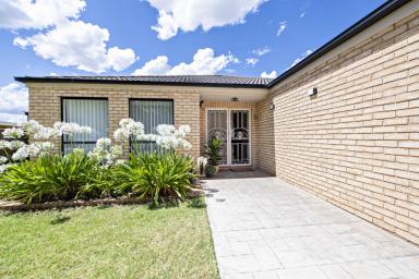 House For Lease - NSW - Dubbo - 2830 - Renovated Four Bedroom Home with Pool  (Image 2)