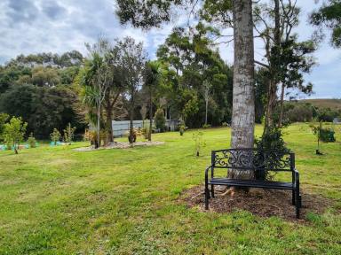 Residential Block For Sale - TAS - Strahan - 7468 - A Private, Landscaped Sanctuary in Strahan - 3,218m² of Tranquil, Off-Grid Living  (Image 2)