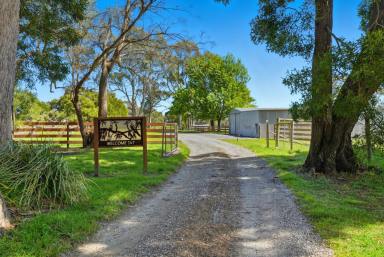 House For Sale - TAS - Beaconsfield - 7270 - Family Home plus Acreage! (Image 2)
