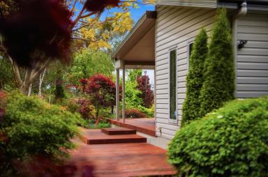 House For Sale - TAS - Beaconsfield - 7270 - 'Birch Grove' (Image 2)