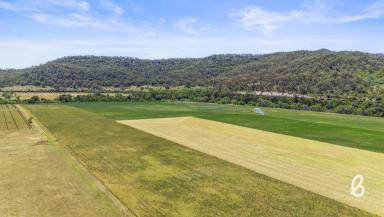 Other (Rural) For Sale - NSW - Yarrawa - 2328 - "Wenvoe" – Premier 714 Acre Goulburn River Holding with Scale, Water & Endless Potential  (Image 2)