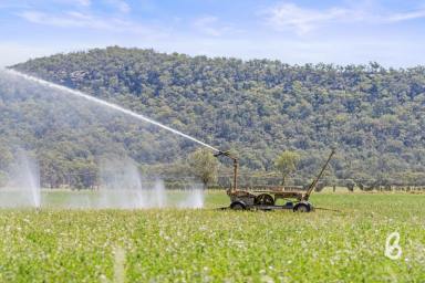 Other (Rural) Sold - NSW - Yarrawa - 2328 - "Wenvoe" – Premier 714 Acre Goulburn River Holding with Scale, Water & Endless Potential  (Image 2)