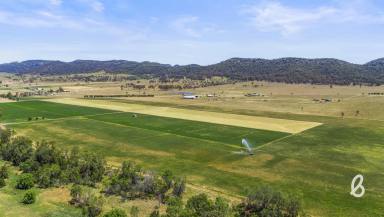 Other (Rural) For Sale - NSW - Yarrawa - 2328 - "Wenvoe" – Premier 714 Acre Goulburn River Holding with Scale, Water & Endless Potential  (Image 2)