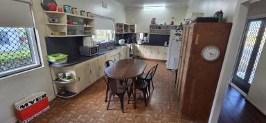 House For Sale - QLD - Ingham - 4850 - CHARMING FAMILY RETREAT IN INGHAM! (Image 2)