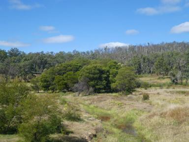 Lifestyle For Sale - NSW - Busbys Flat - 2469 - PICTURE PERFECT (Image 2)