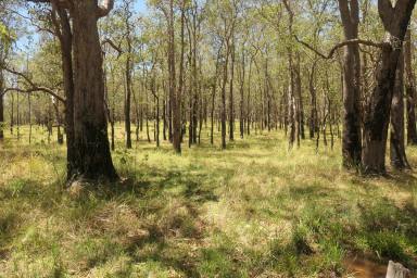 Lifestyle For Sale - NSW - Tabulam - 2469 - DINKI-DI!  (Image 2)