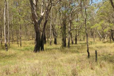 Lifestyle For Sale - NSW - Pikapene - 2469 - DINKI-DI!  (Image 2)